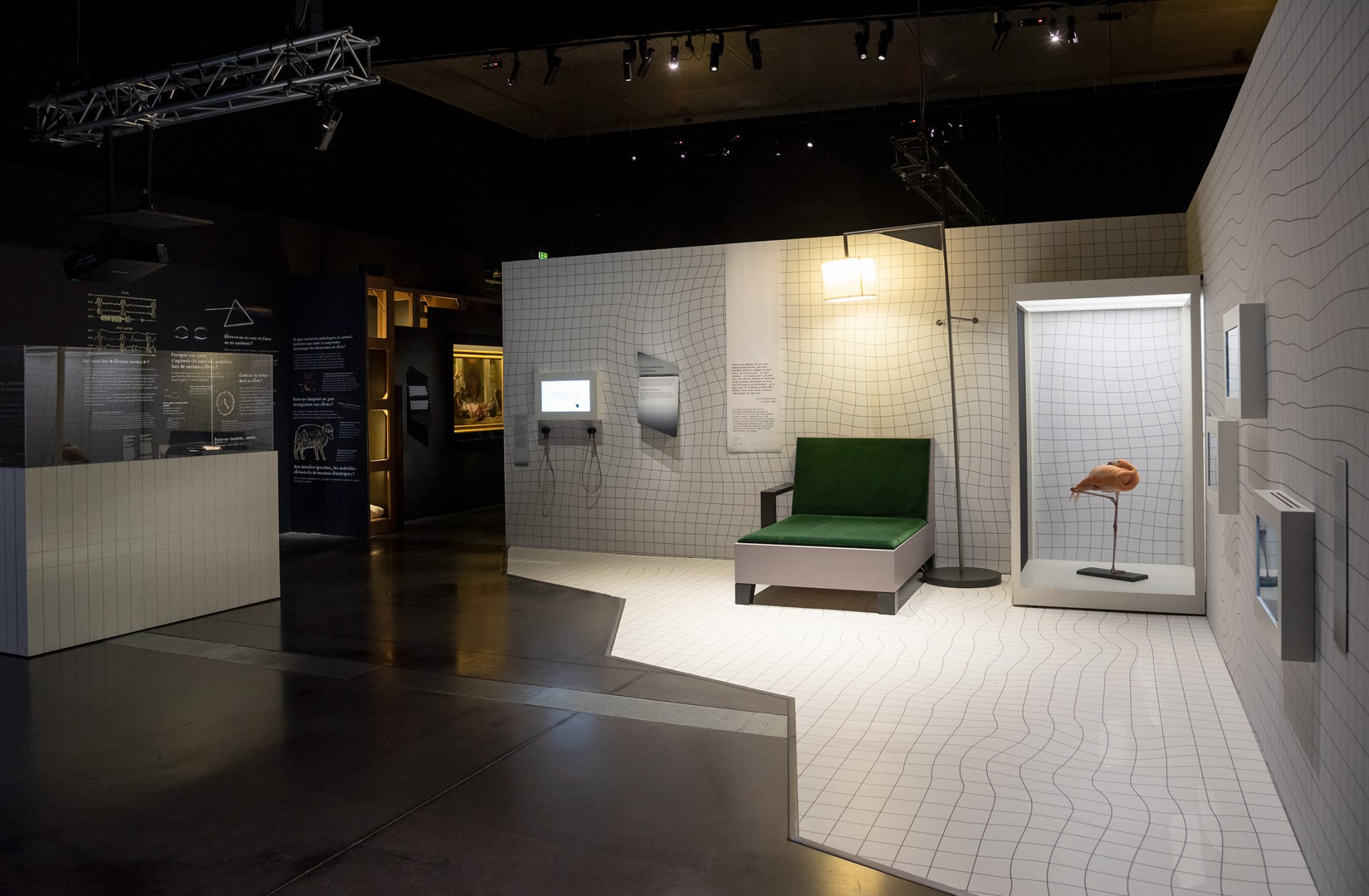 studio-weg-le-temps-dun-reve_musee-confluences-exposition-reves-studio-weg-02.jpg