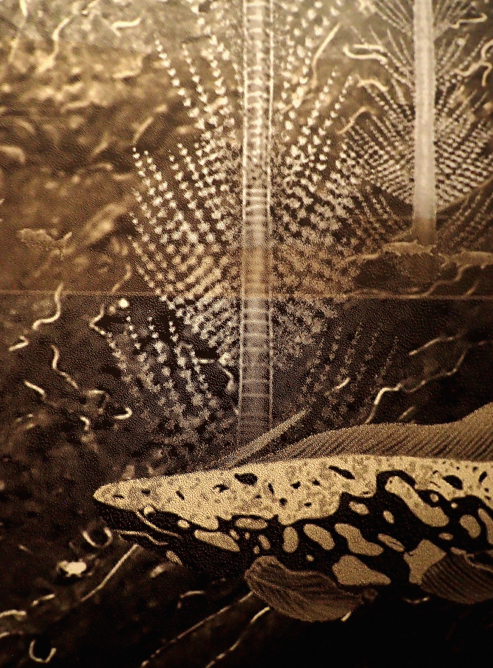 studio-weg-musee-de-lodeve_lodeve-graphisme-exposition-science-de-la-terre-studio_weg_19.jpg