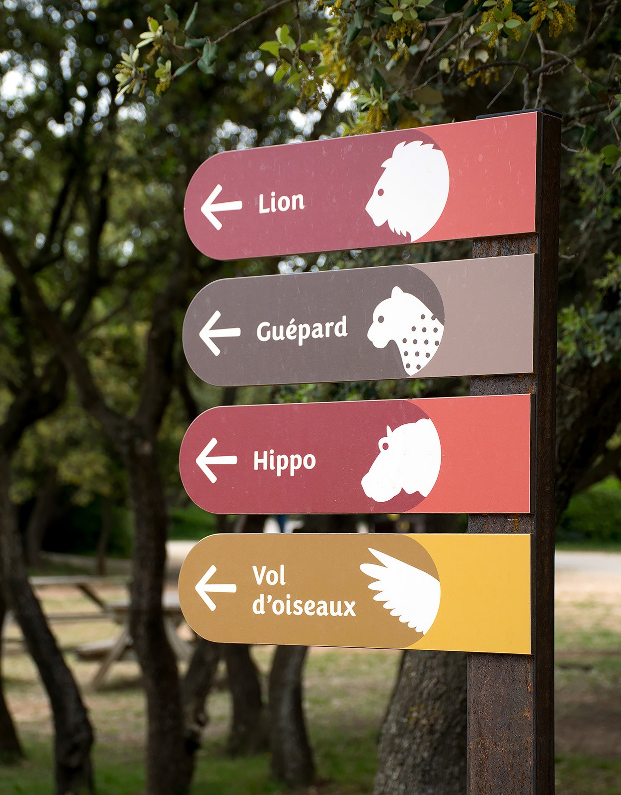 studio-weg-parc-animalier-de-la-barben_signaletique-parc-barben-studio-weg-06.jpg