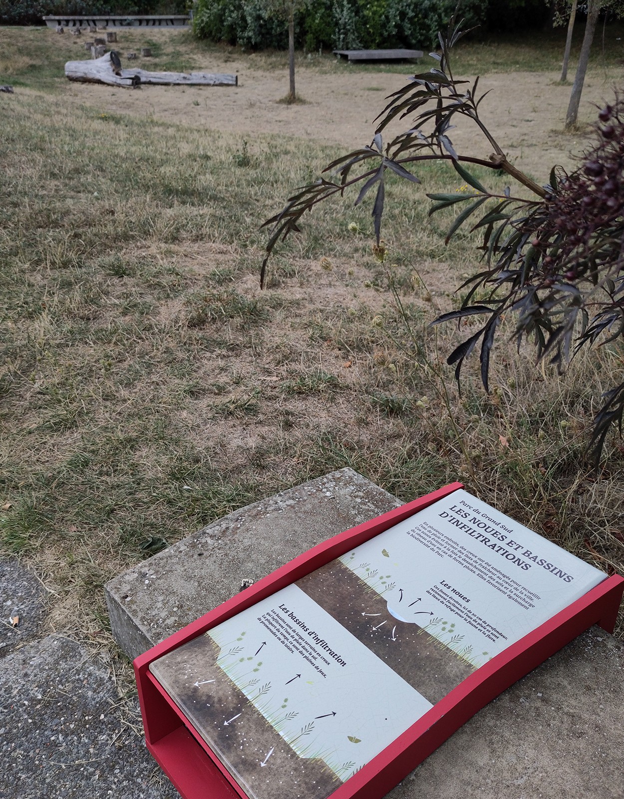 studio-weg-parc-du-grand-sud_signaletique-parc-grand-sud-studio-weg-9.jpg