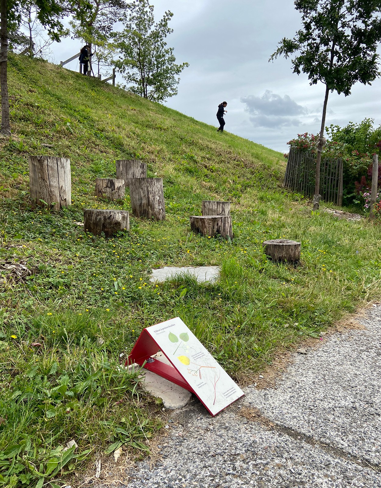 studio-weg-parc-du-grand-sud_signaletique-parc-grand-sud-studio-weg-11.jpg